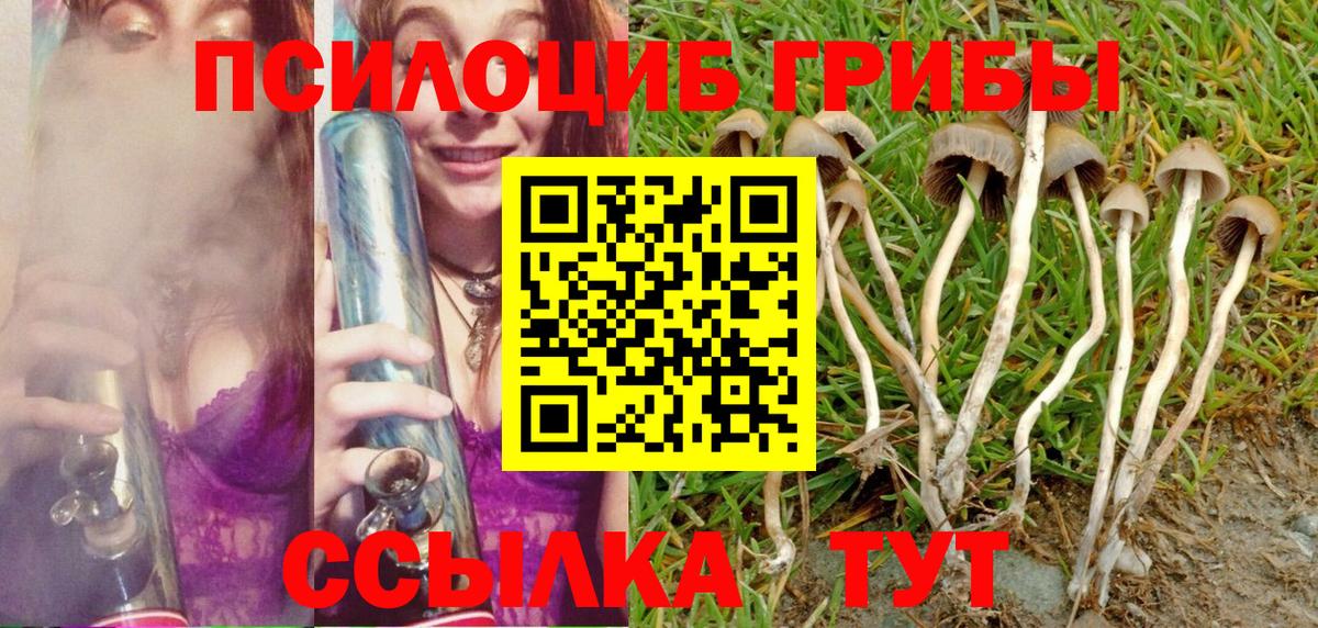 Галлюциногенные грибы Cubensis  Вход с VPN  Минеральные Воды 