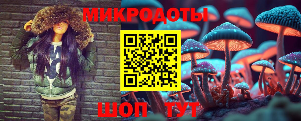 Галлюциногенные грибы мицелий Минеральные Воды